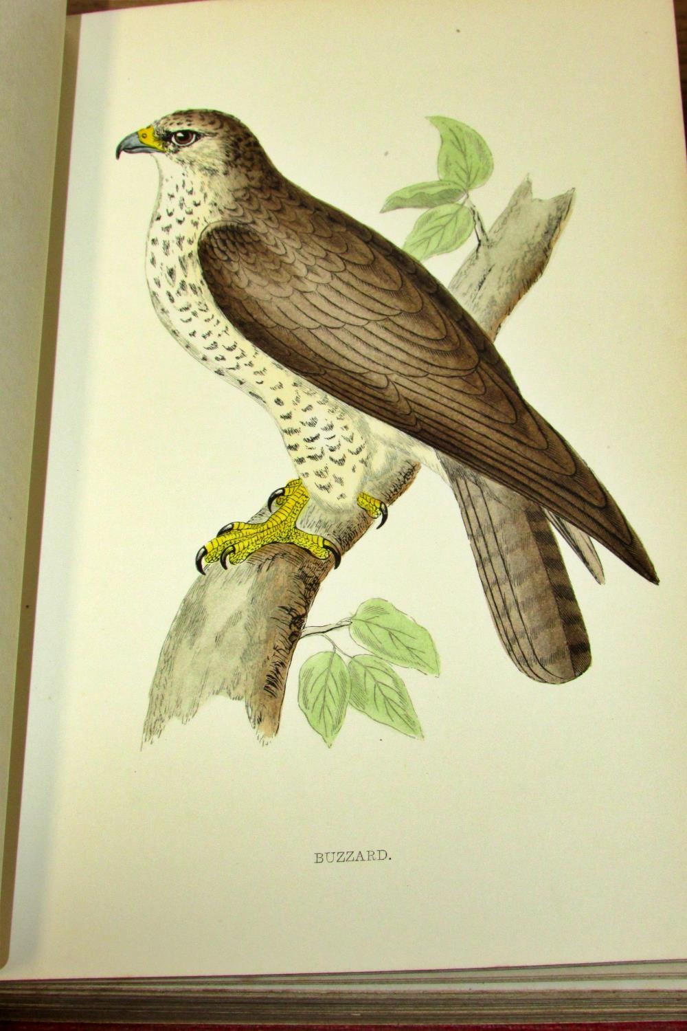 A good collection of natural history / bird books to include 8 vols of Rev Morris's British Birds ( - Image 7 of 7