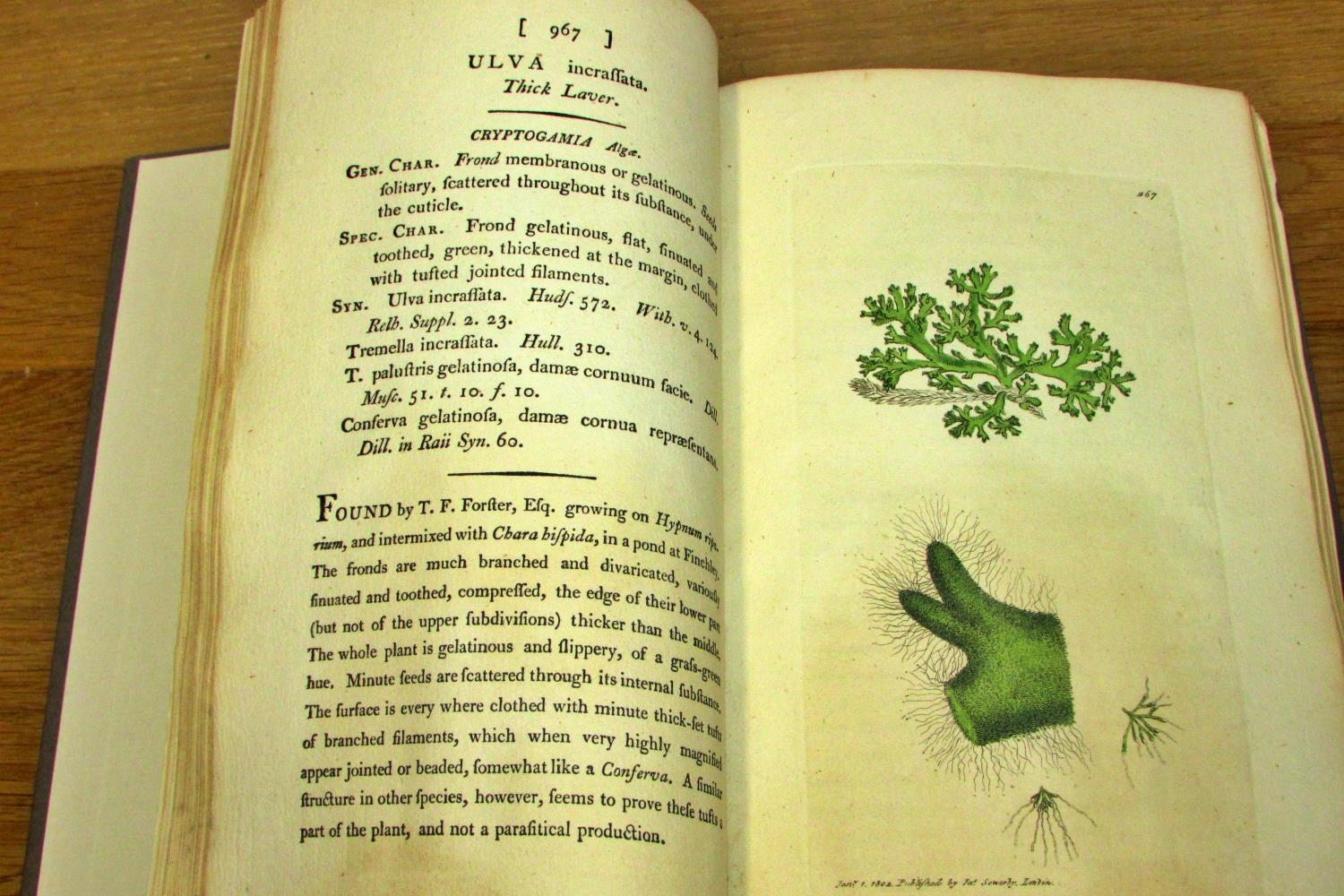 Collection of natural history books to include Sowerby's Lichens & Marine Algae (rebound) (1809), - Image 7 of 8