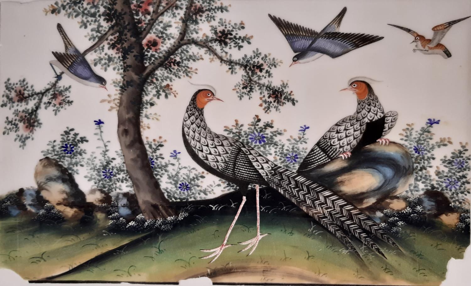 Four mid 19th century Chinese pith paintings of exotic birds and an Empress, to include: A Qing - Image 2 of 6