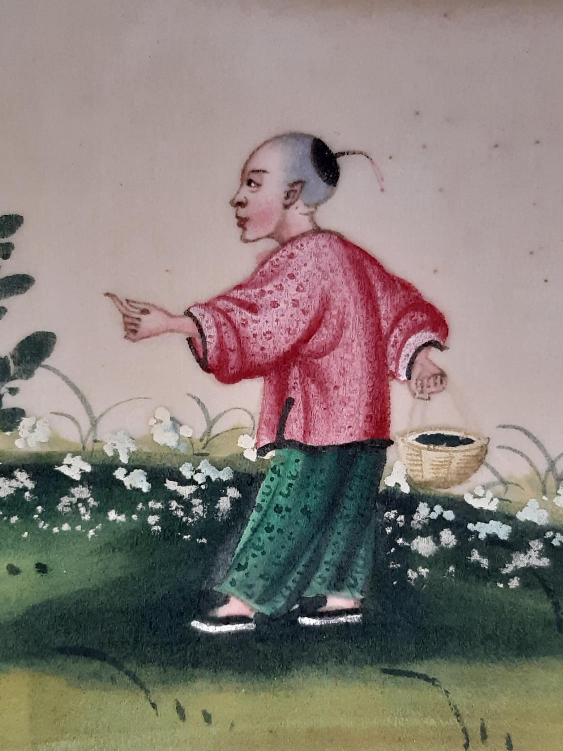 Eight 19th century Chinese pith paintings depicting stages of tea production, two mounted on paper - Image 3 of 4
