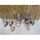 Taxidermy Interest - five pairs of Impala horns, head and skull mounted, stags antlers, etc