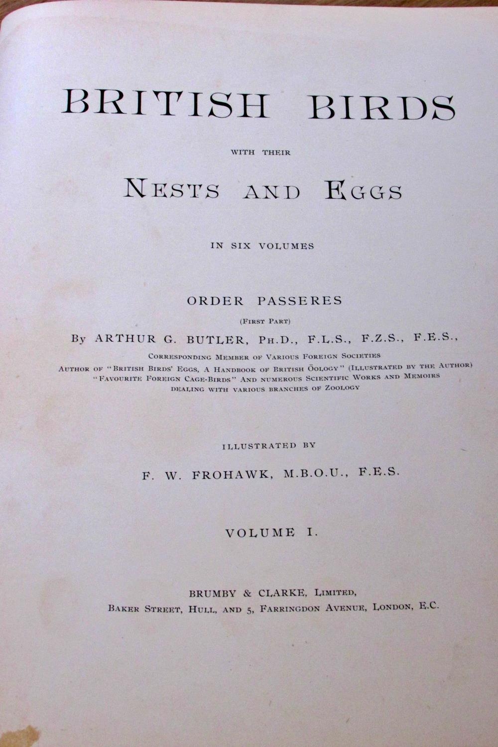 Arthur Butler British Birds with their Nests and Eggs, 1900, 5 vols, illustrated by F W Frohawk - Image 5 of 7