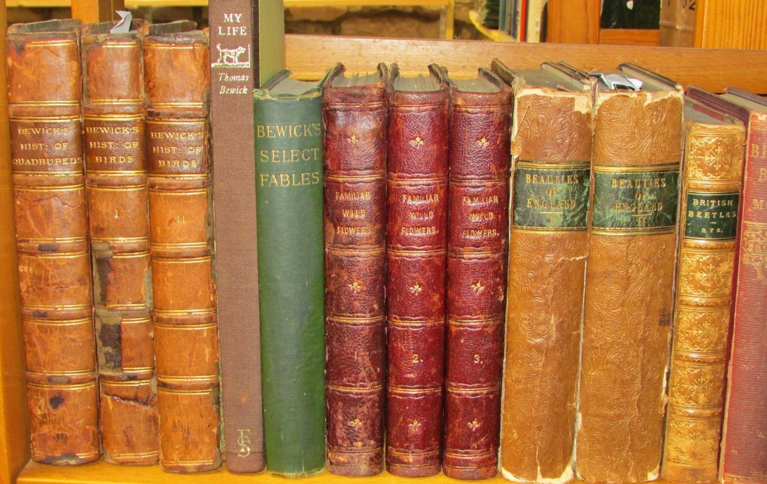Collection of natural history books to include Sowerby's Lichens & Marine Algae (rebound) (1809),