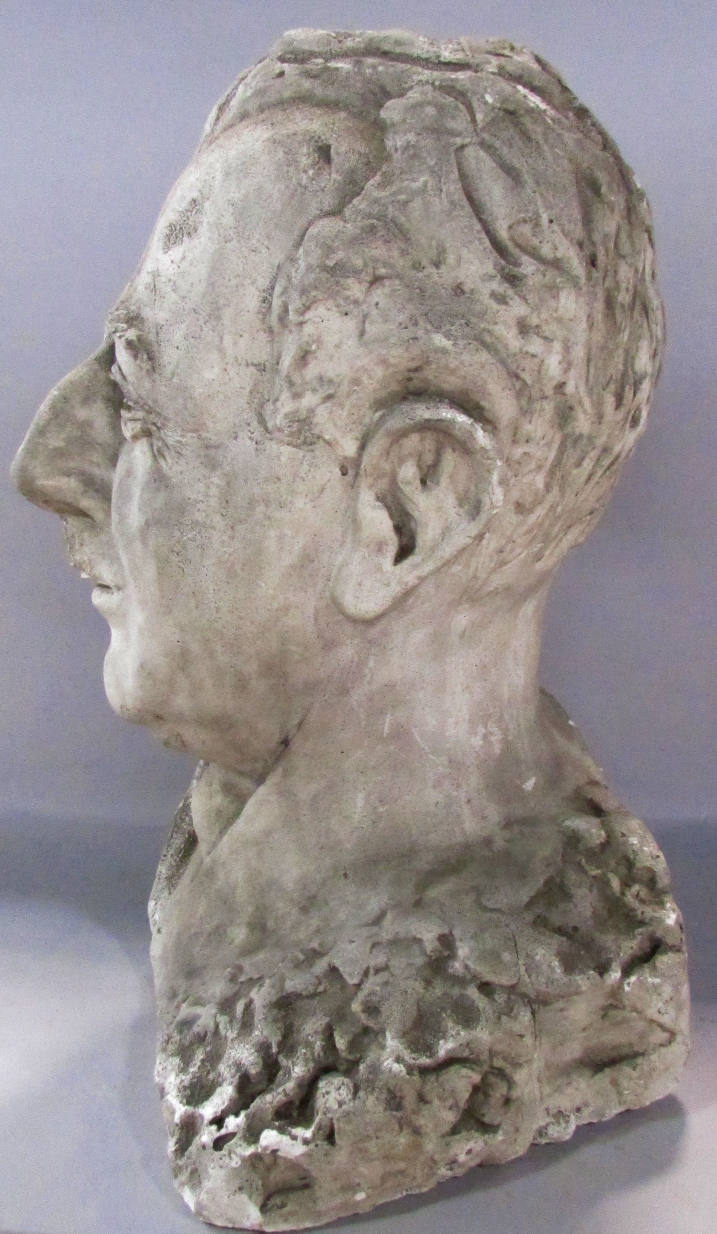 A plaster bust of a man with a Roman nose 40cm high. - Image 2 of 4