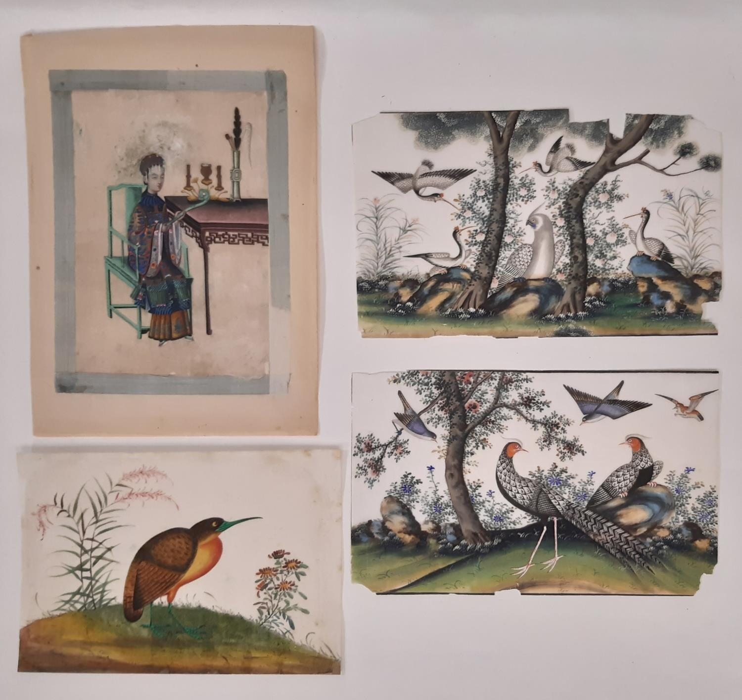 Four mid 19th century Chinese pith paintings of exotic birds and an Empress, to include: A Qing