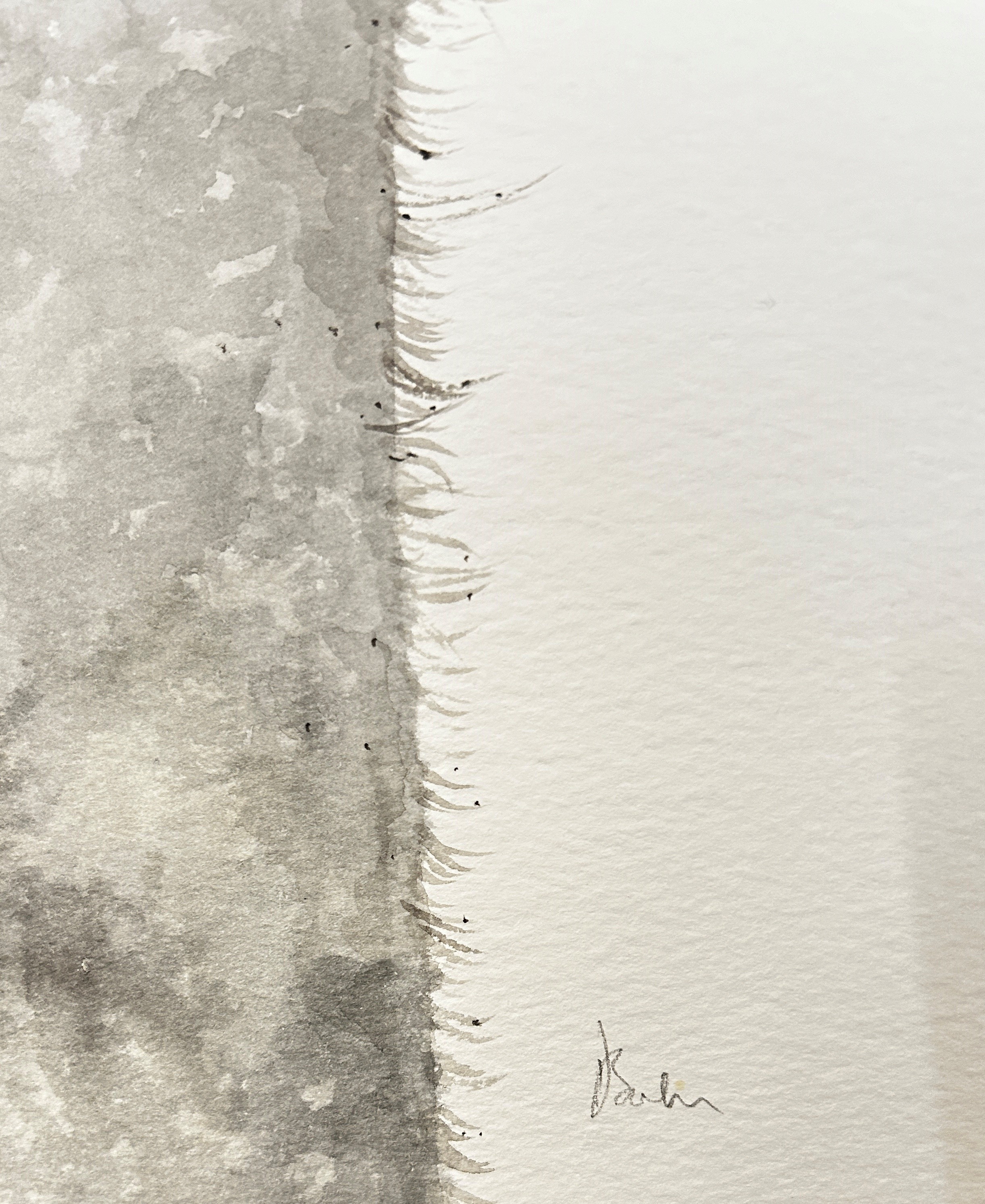 Dominique Salm (b.1972) 'Ostrich', watercolour on paper, signed in pencil below, 763 x 43 cm, - Image 3 of 3