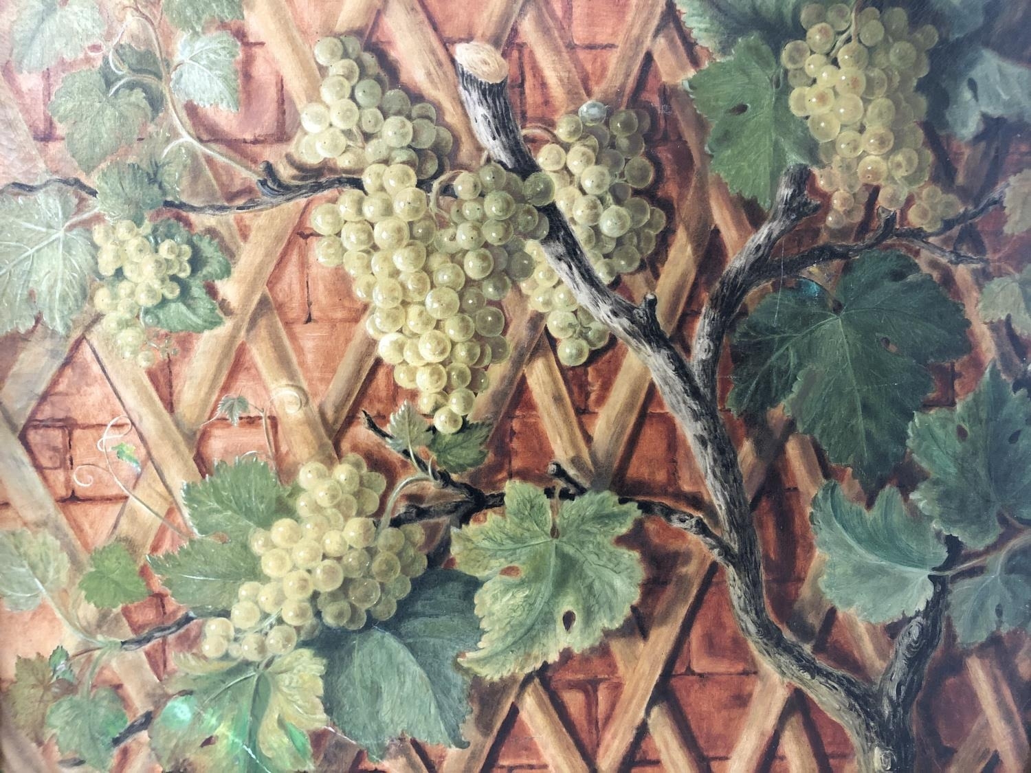 Early 20th Century - Grapes on the vine, indistinctly signed 'Helene Nisa...?' lower left, oil on - Image 2 of 4