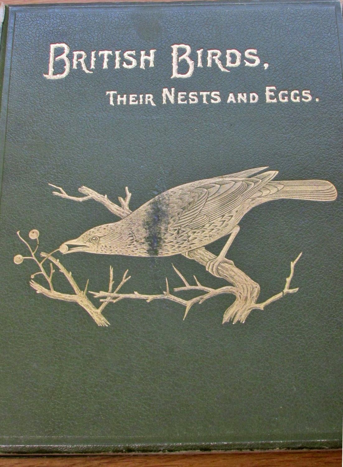 Arthur Butler British Birds with their Nests and Eggs, 1900, 5 vols, illustrated by F W Frohawk - Image 2 of 7