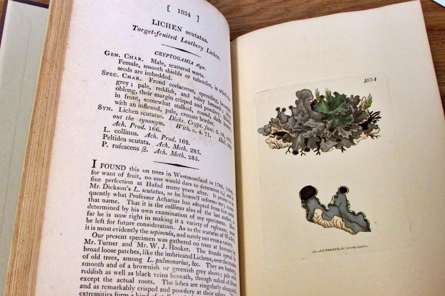 Collection of natural history books to include Sowerby's Lichens & Marine Algae (rebound) (1809), - Image 8 of 8