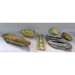 A collection of fossils including, Orthoceras, Trilobite, Bi-valves, fish, fossilised wood,