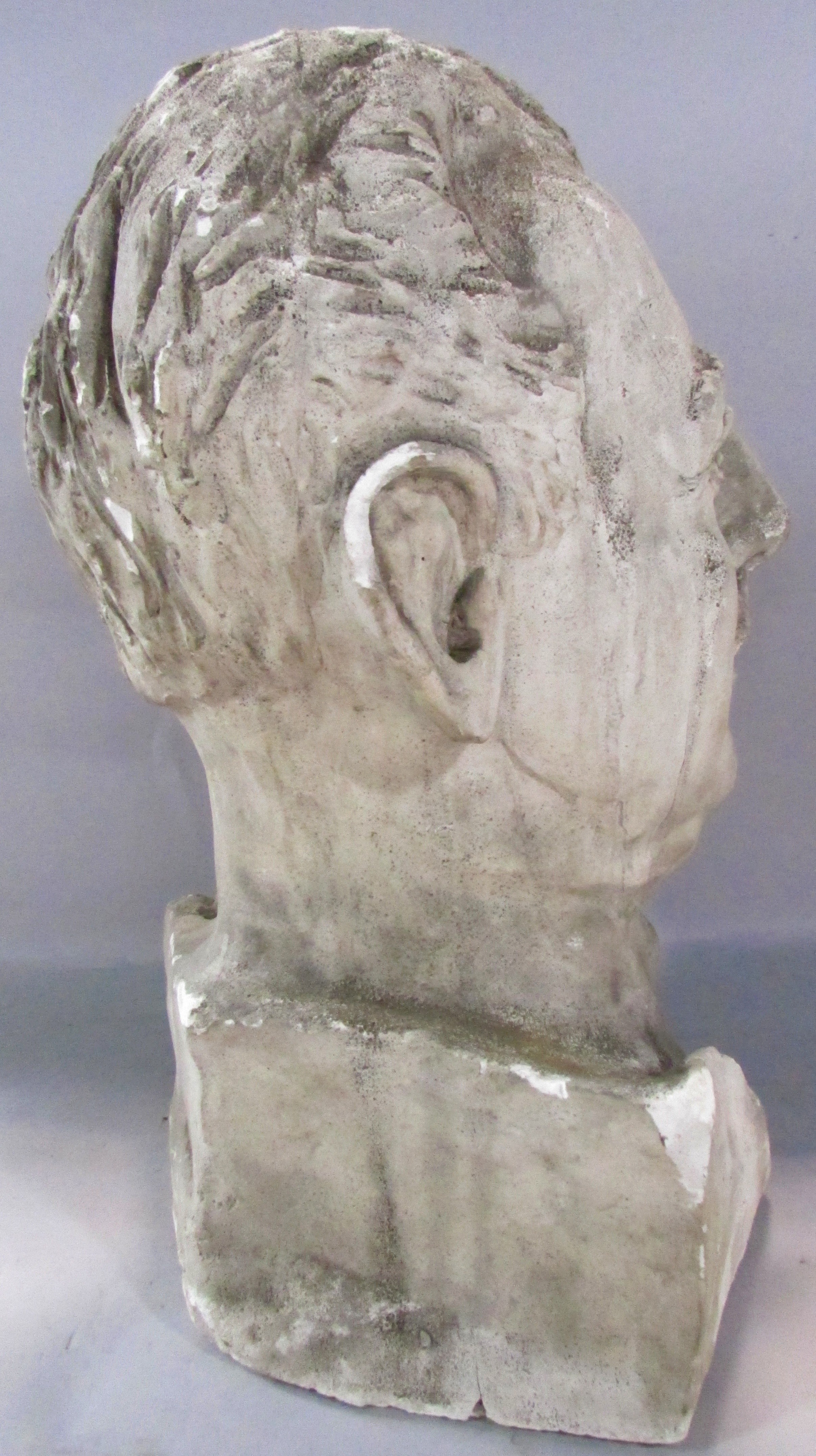 A plaster bust of a man with a Roman nose 40cm high. - Image 4 of 4