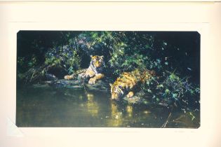 David Shepherd (1931-2017), "TIGER HAVEN", limited edition print, signed and numbered 172/1000 in