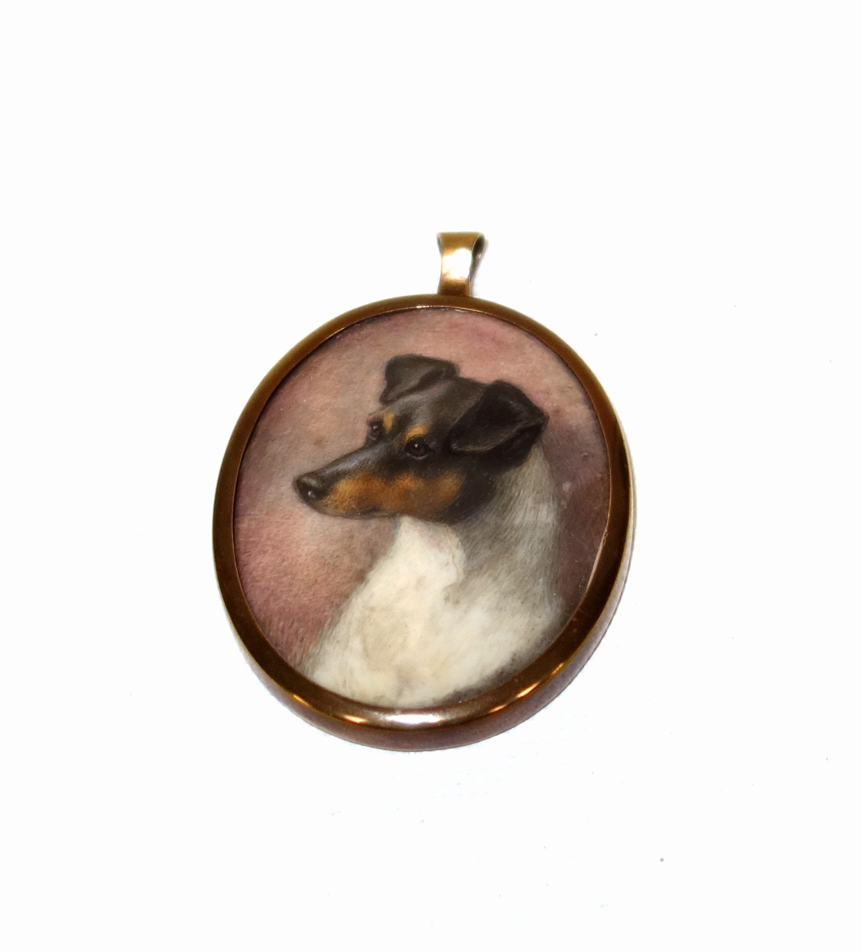 English School, Late 19th Century, Miniature study of the head of a dog, watercolour on ivory, 5.2 x