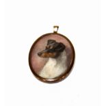 English School, Late 19th Century, Miniature study of the head of a dog, watercolour on ivory, 5.2 x