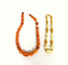 Graduated butterscotch amber bead necklace with a screw clasp, L. 49.5cm, 60.4 grams, and a faux