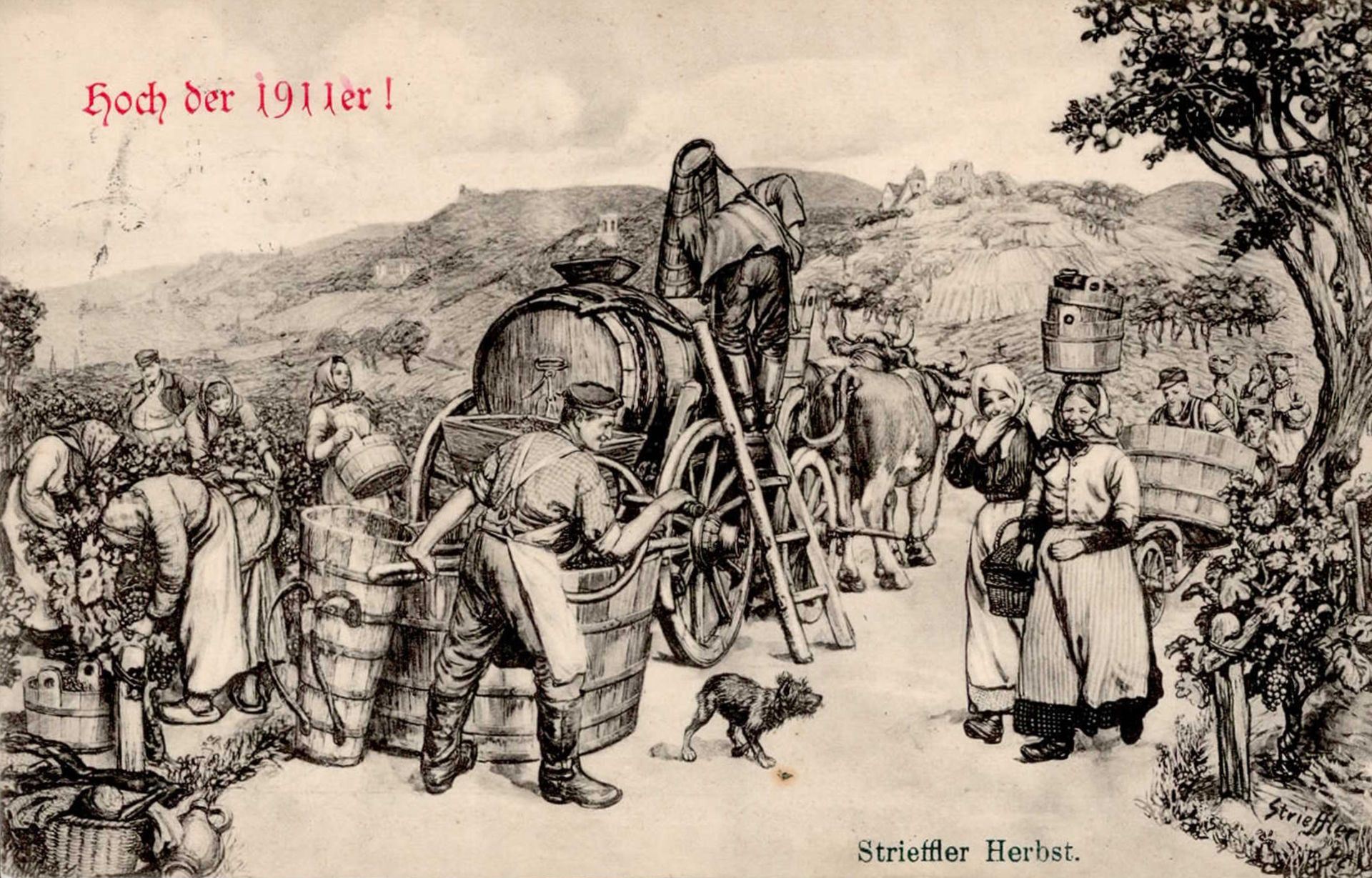 Wein Hoch der 1911er sign. Strieffler I-II