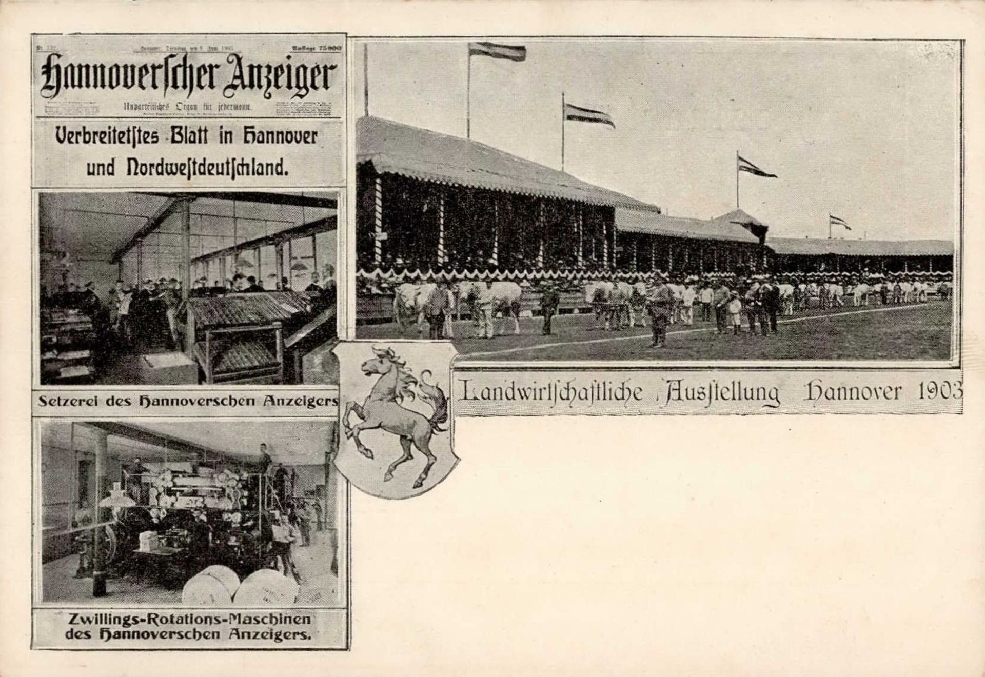 Ausstellung Hannover Landwirtschaftliche Ausstellung 1903 I-II (Eckbug)