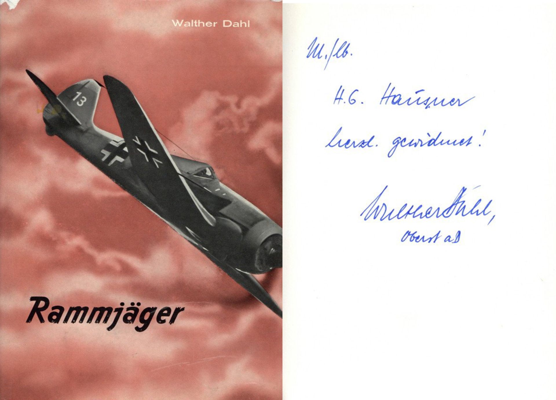 Buch WK II Rammjäger Das letzte Aufgebot von Dahl, Walther 1978, Verlag Orion-Heimreither, mit