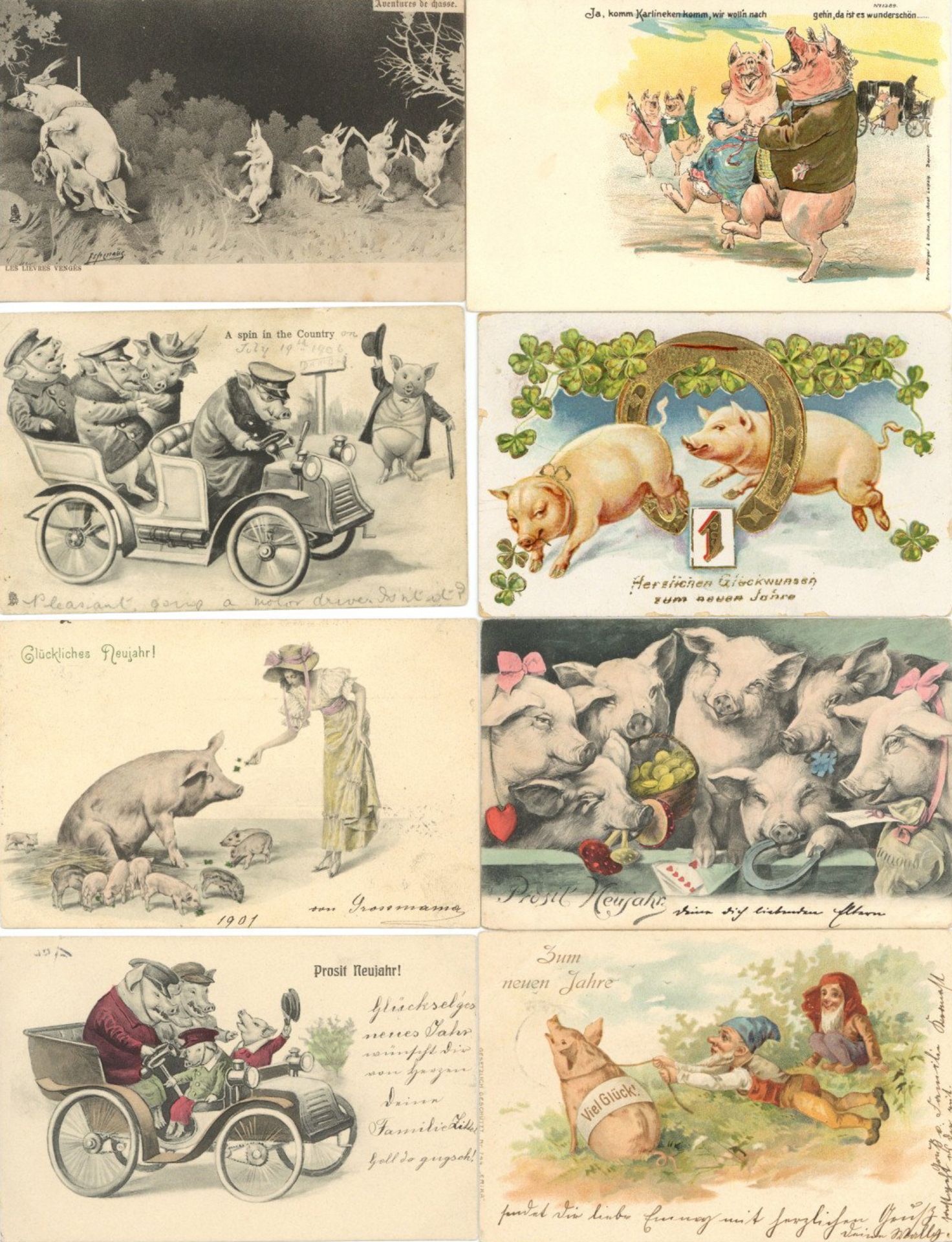 Schwein Lot mit 85 Ansichtskarten vor 1945 in unterschiedlicher Erhaltung