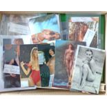 Erotik Kiste mit über 400 modernen Fotos und Autogrammkarten Erotik-Stars mit einigen