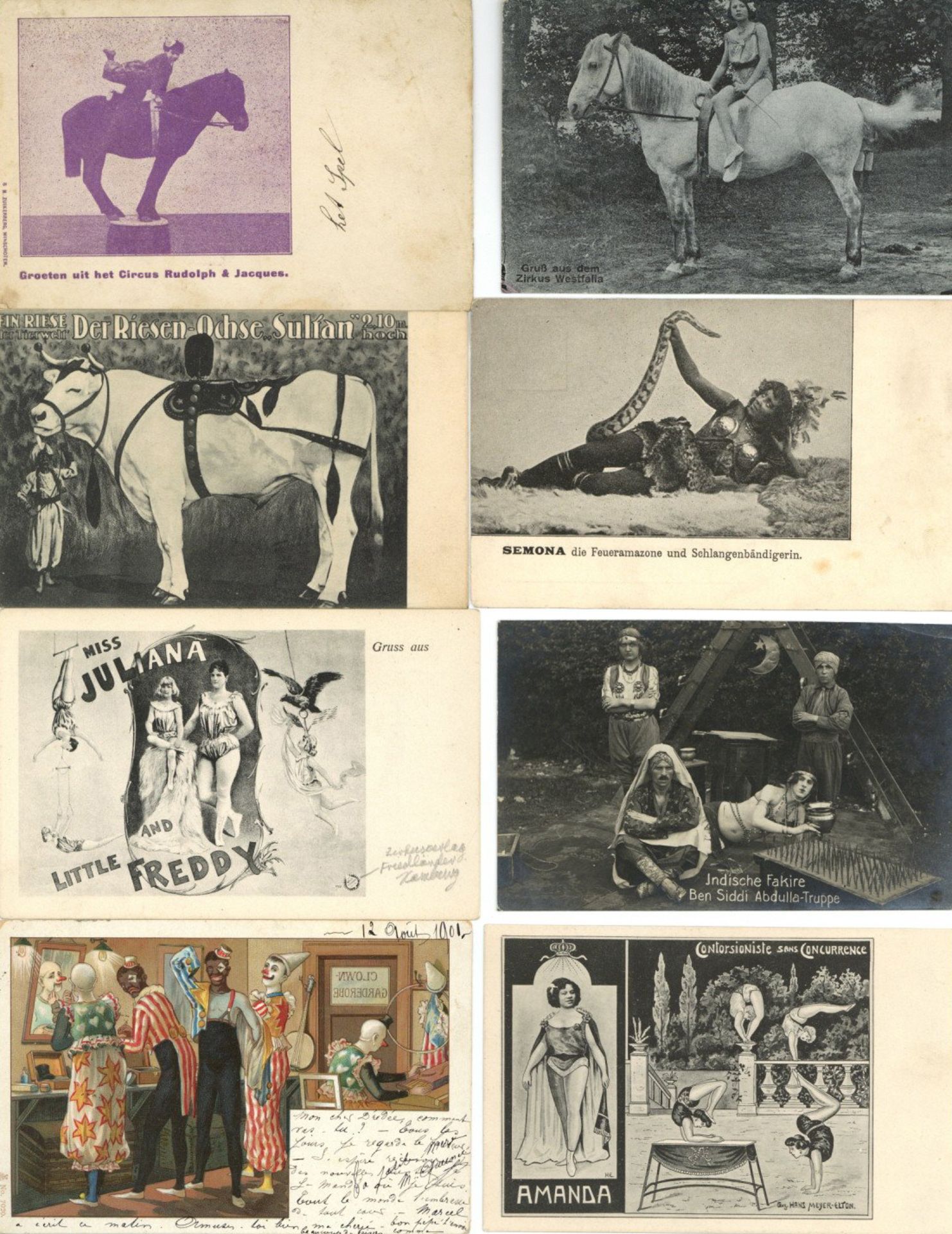 Zirkus Lot mit 130 Ansichtskarten Zirkus, Artisten, Zauberer usw. von alt bis neu