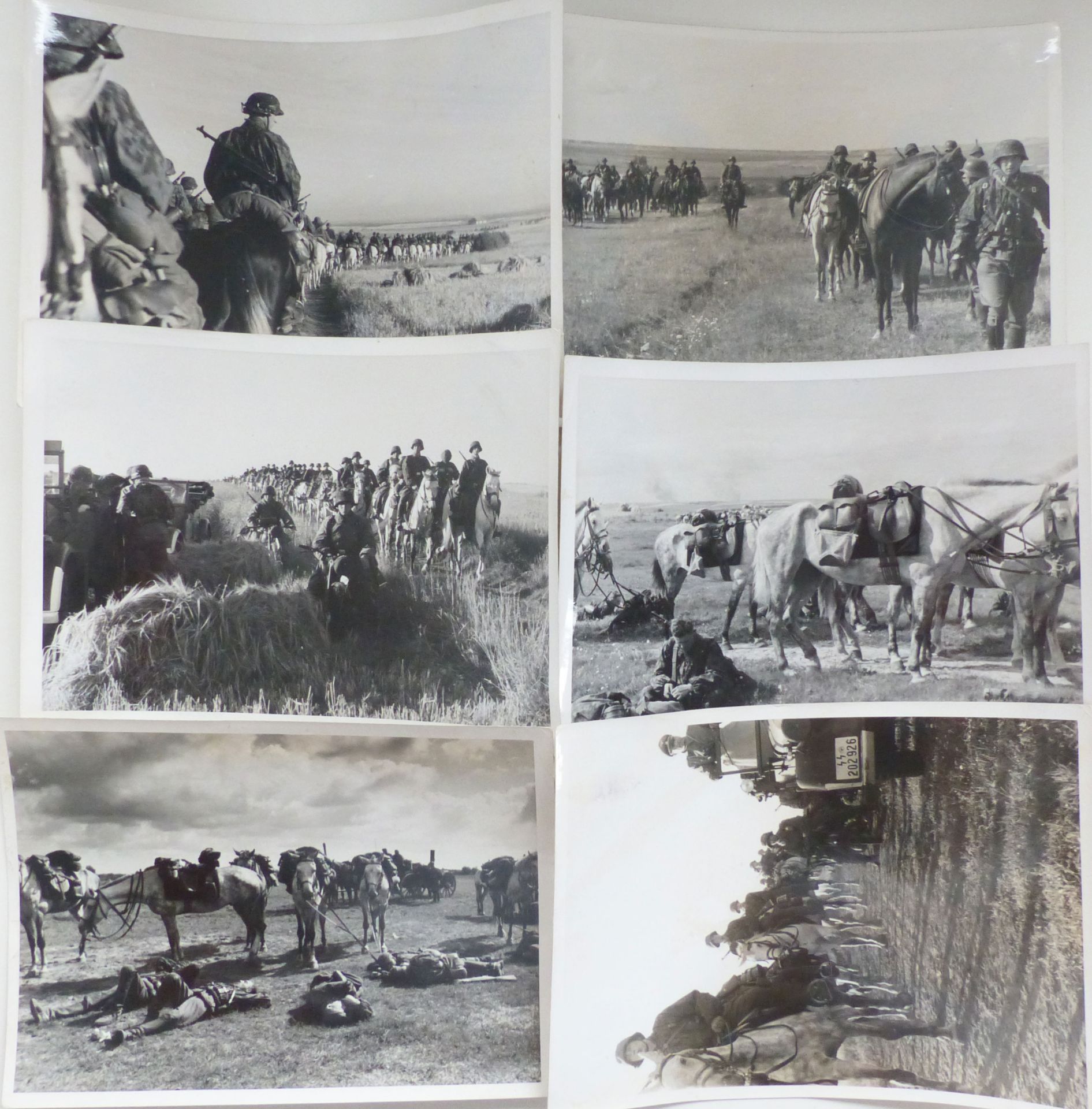 SS Freiwilligen Kavallerie 6 Fotos im Format 13x18 cm II