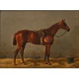 Volkers, Emil (Birkenfeld 1831 - Düsseldorf 1905). Brown Horse.