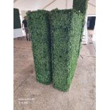Boxwood Hedge 39" wide x 5' high
