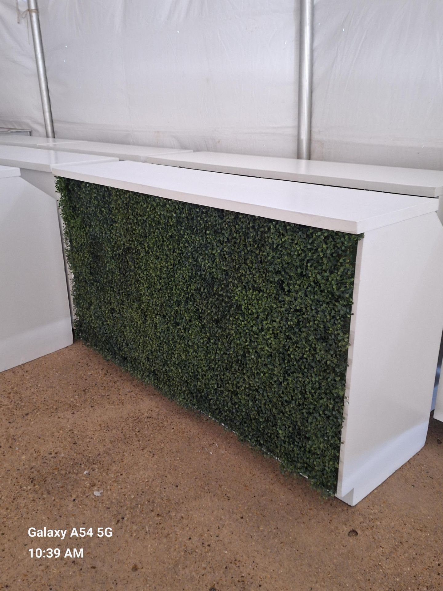 6' White Bar with Boxwood Front