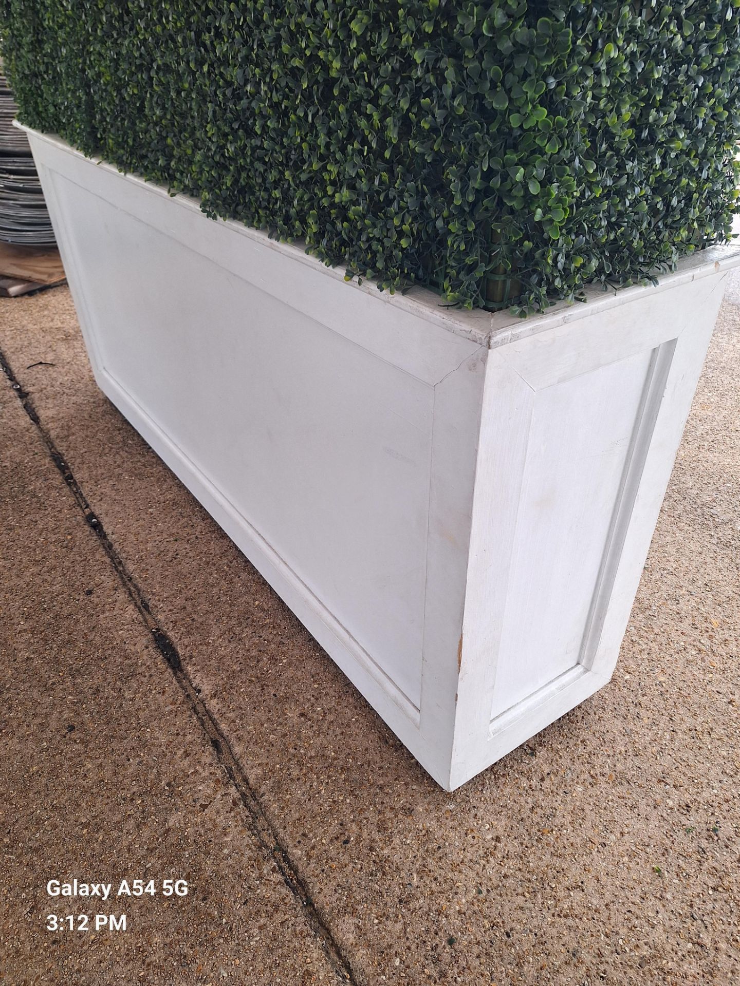 Boxwood Hedge with base 6' wide x 8' high - Image 3 of 3