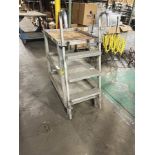 Rolling Metal Cart w/ Ladder