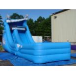 Dolphin Splash Slide Jumper