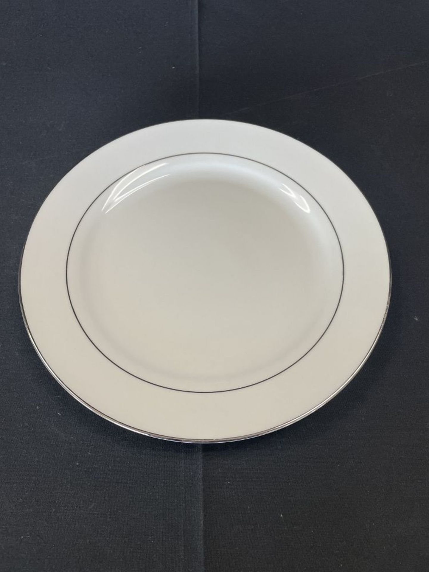 Dinner Plates, Platinum