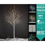 Pre Lit LED Birch Tree snow Flocked - ER47.