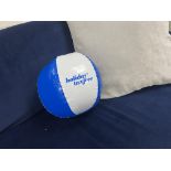 250 X BRAND NEW BLUE AND WHITE BEACHBALLS R19.11