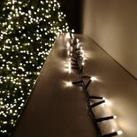 Premier 1500 LED (37.5m) TreeBrights Christmas Tree Lights & TIMER In Warm White - ER47.