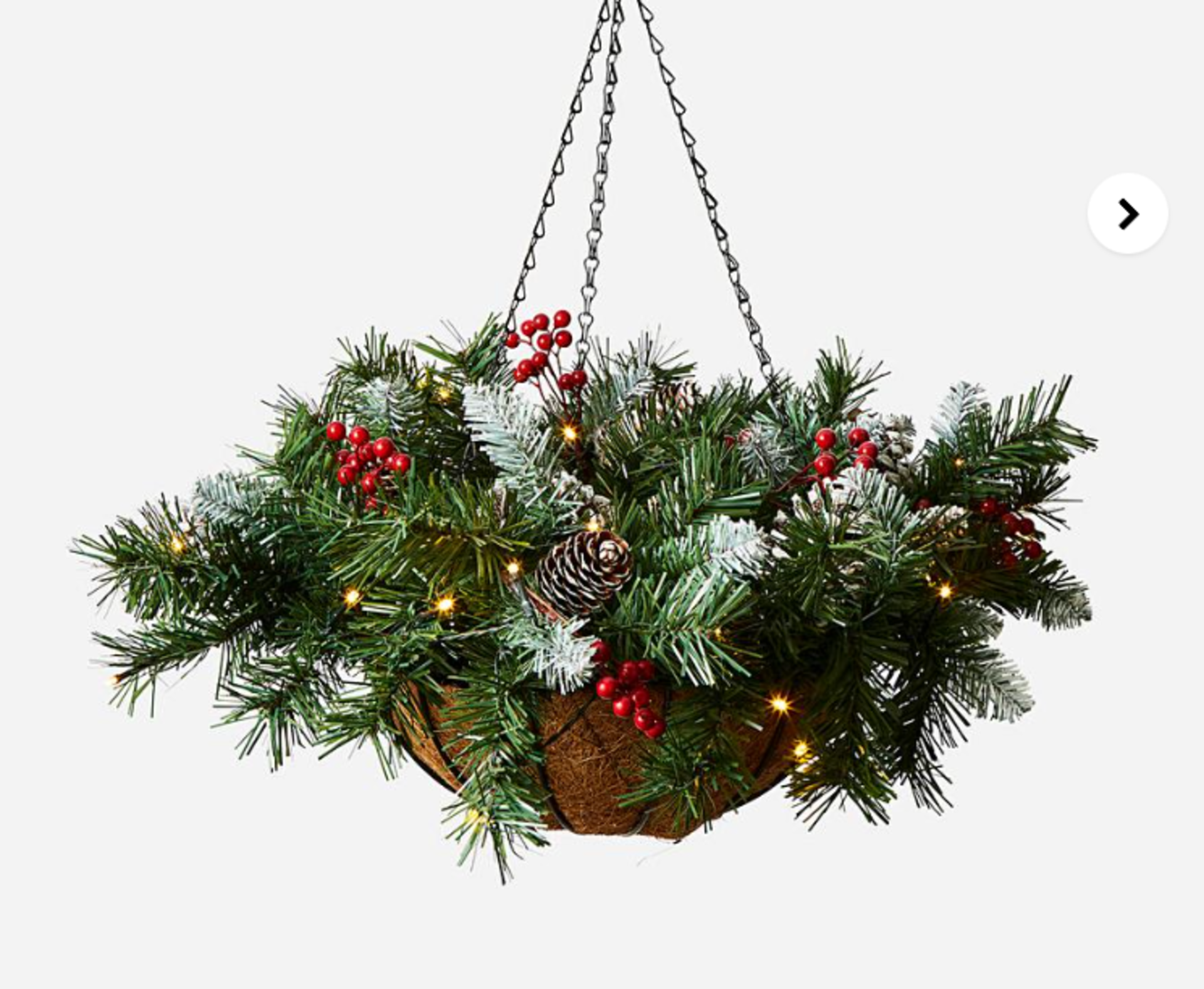 New Jersey Hanging Basket. - ER28. 30cm diameter hanging basket with approx 60cm green New Jersey