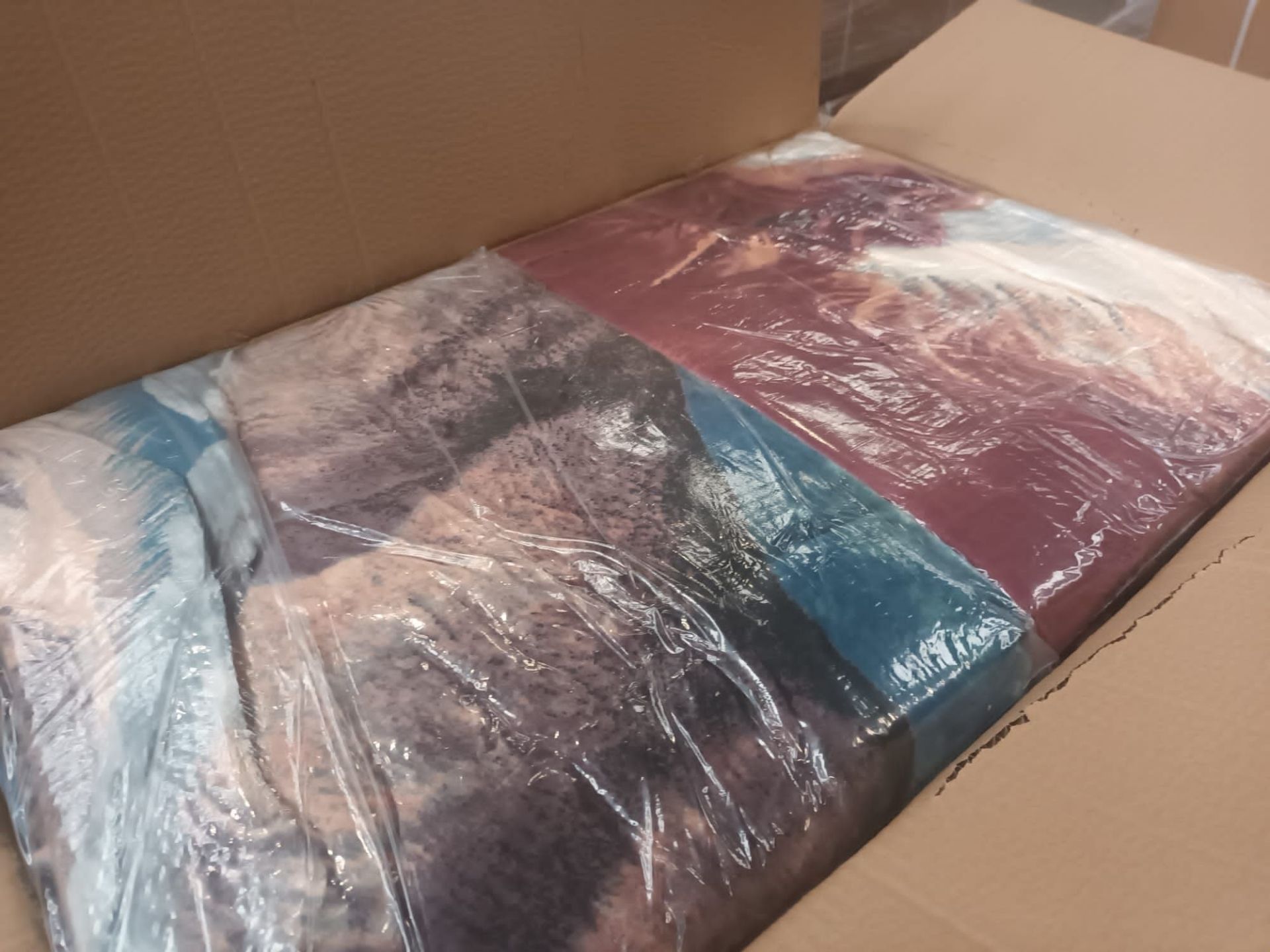 PALLET TO CONTAIN 80 X NEW & PACKAGED LUXURY 200x230CM FLEECE THROWS IN VARIOUS DESIGNS. RRP £42. - Image 12 of 21