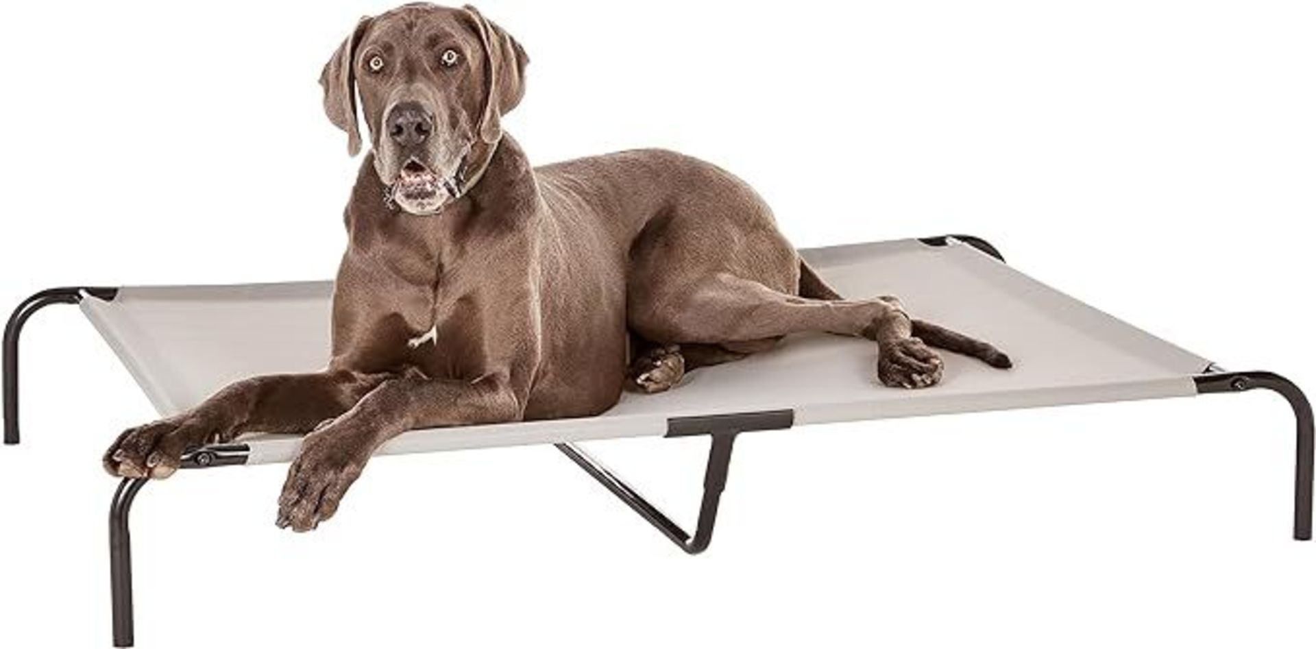 Amazon Basics Cooling Elevated Pet Dog Bed, XL, -ER53