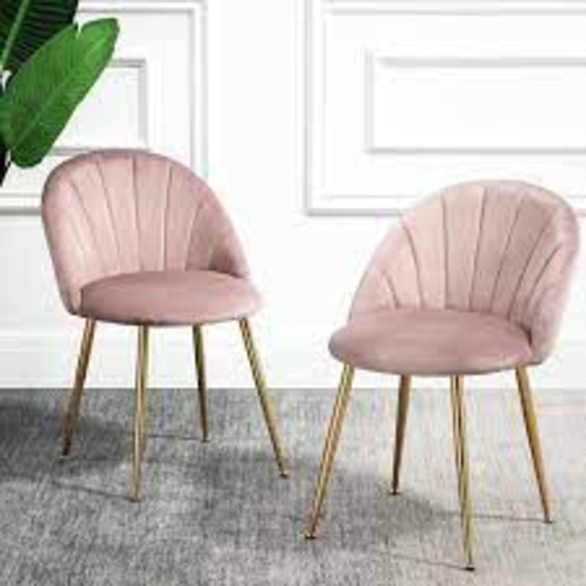 Milverton Pair of 2 Velvet Dining Chairs with Golden Chrome Legs. - ER29