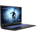 NEW & BOXED MEDION Erazer Defender P15 17.3" Gaming Laptop. RRP £1149.95. 17.3" 144hz FHD Screen,