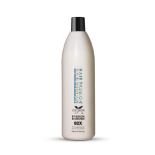 60 X BRAND NEW HAIR PASSION 1L PASSION BOOSTER (R7-2)