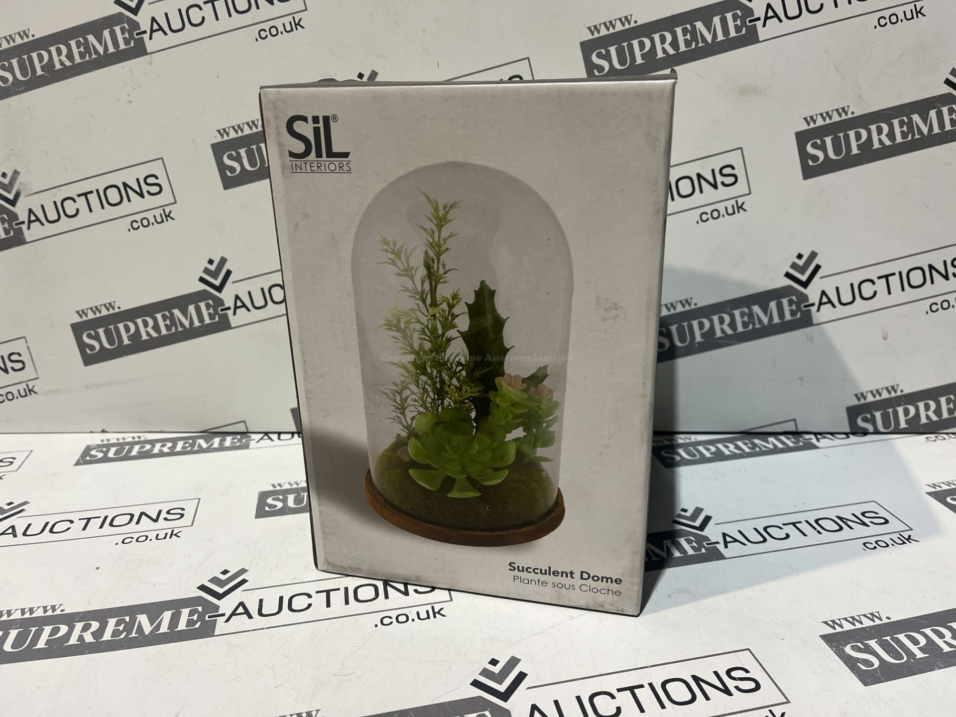20 X BRAND NEW SIL SUCCULENT DOMES R9-17