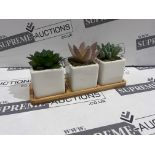 16 X BRAND NEW SIL INTERIORS SETS OF 3 SUCCULENTS R11-11