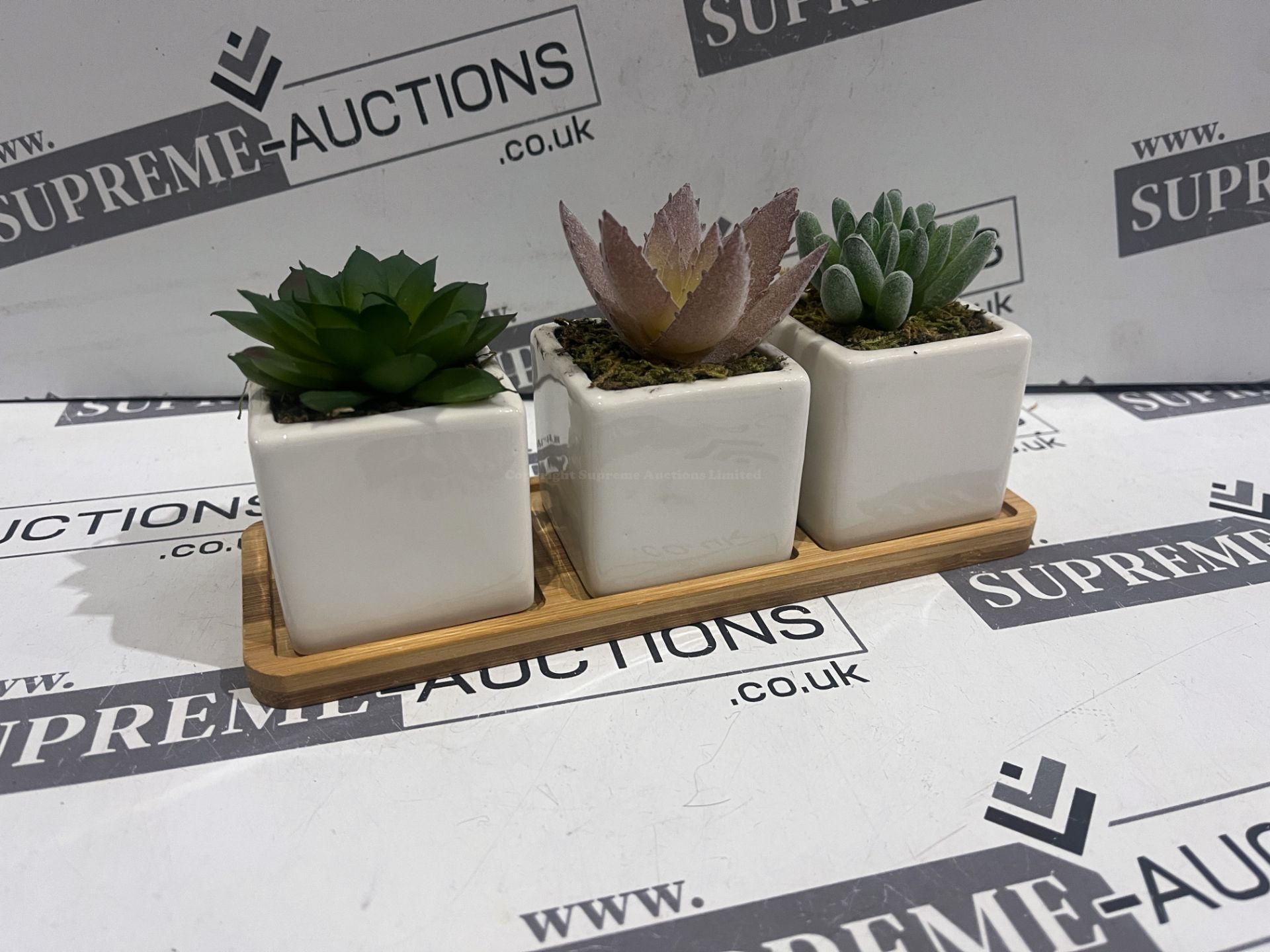 16 X BRAND NEW SIL INTERIORS SETS OF 3 SUCCULENTS R11-11