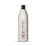 72 X BRAND NEW HAIR PASSION PASSION BOOSTER OXIDIZING EMULSION CREAM 1000ML R7-2
