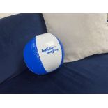 250 X BRAND NEW BLUE AND WHITE BEACHBALLS R19.11