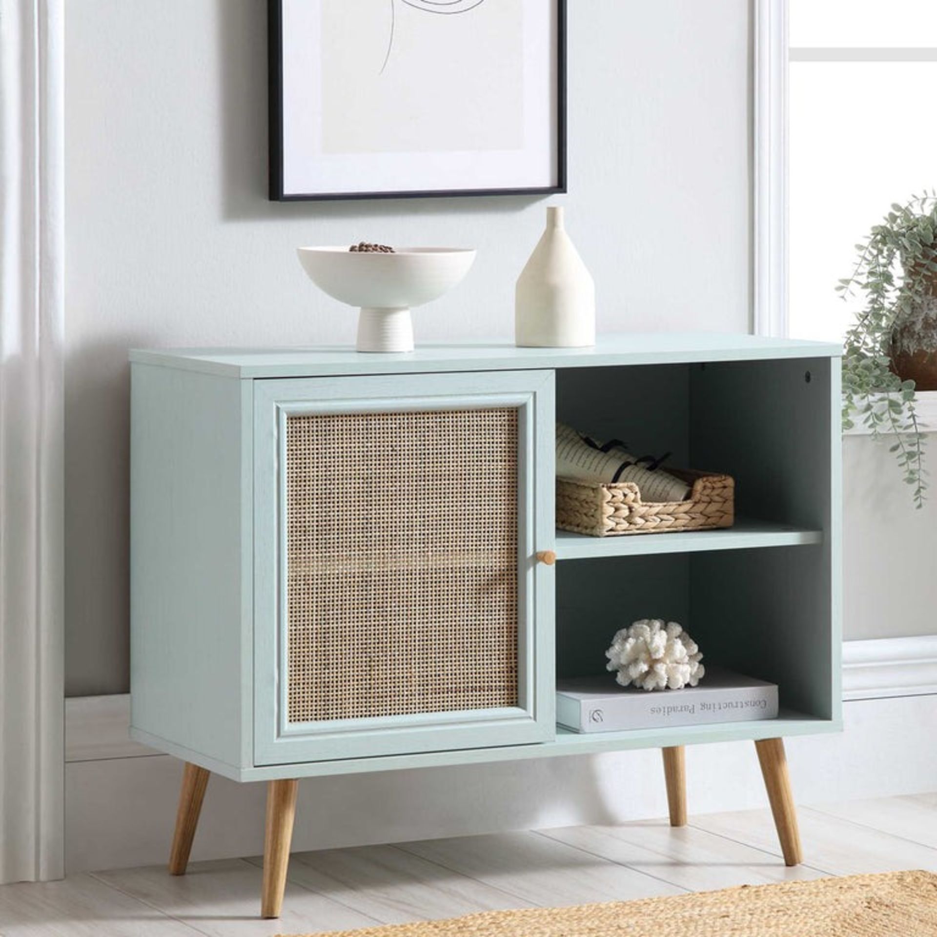 Frances Woven Rattan 1-Door Cabinet in Mint - ER29