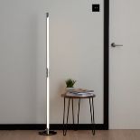 GoodHome Eucrite Chrome Effect LED Floor Light - ER47