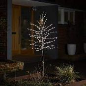 6ft Black Pre-lit Warm white LED Christmas berry tree - ER48